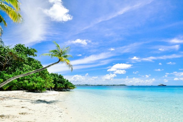 Beach & Coast Travel