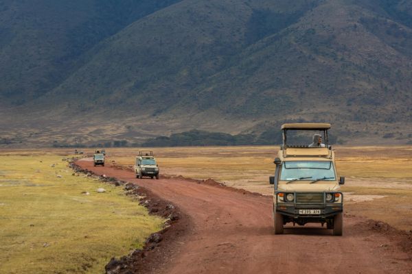 Personalized Safari Tour Packages