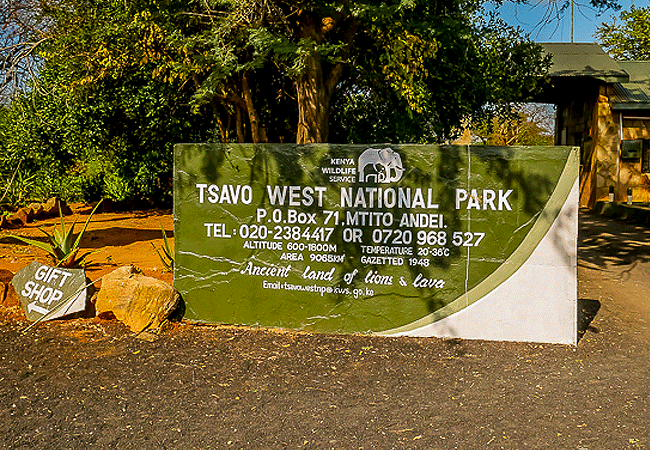 Exploring Tsavo National Park: Top Things You Need to Know