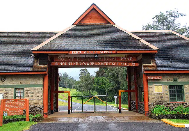 Mount Kenya National Park: Top Things to Do